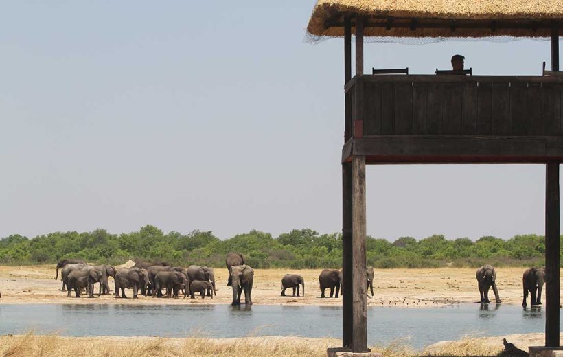 4 Days- Victoria Falls (Zimbabwe) & Chobe (Botswana)