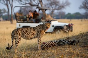 Victoria Falls Full Day Experience
